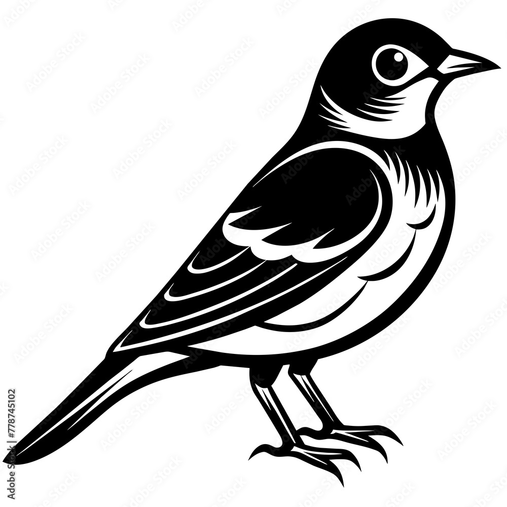 Bird vector illustration.
Bird vector illustration.