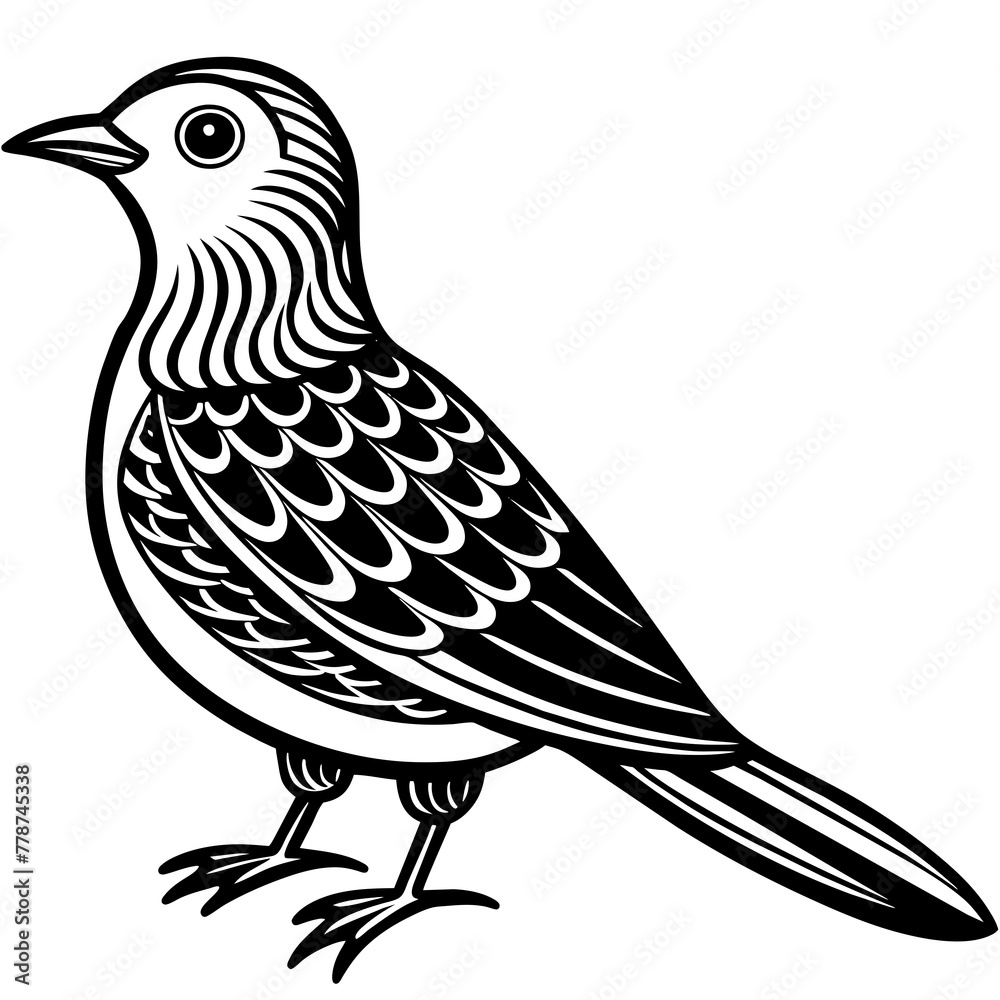 Bird silhouette vector illustration.
Bird silhouette vector illustration.