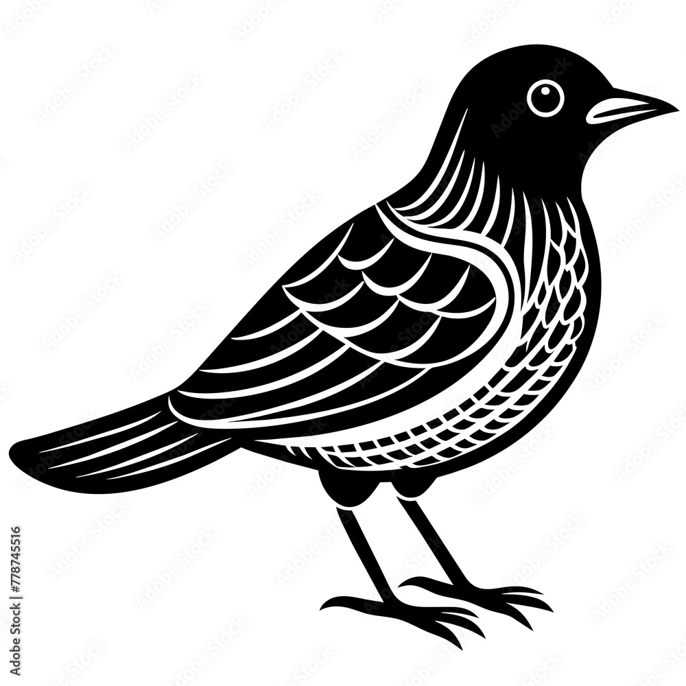 Fototapeta premium Bird silhouette vector illustration.