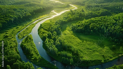 Aerial photo of meandering river in dense forest. Natural beauty.