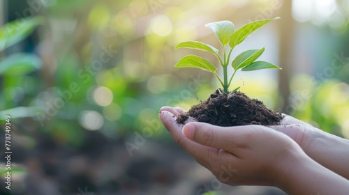 Hand holding a pile of earth with a plant blur background copy space