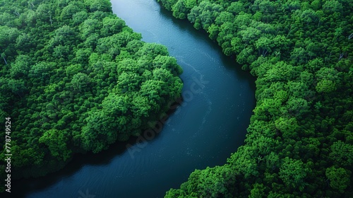 Aerial photo of meandering river in dense forest. Natural beauty. © pengedarseni
