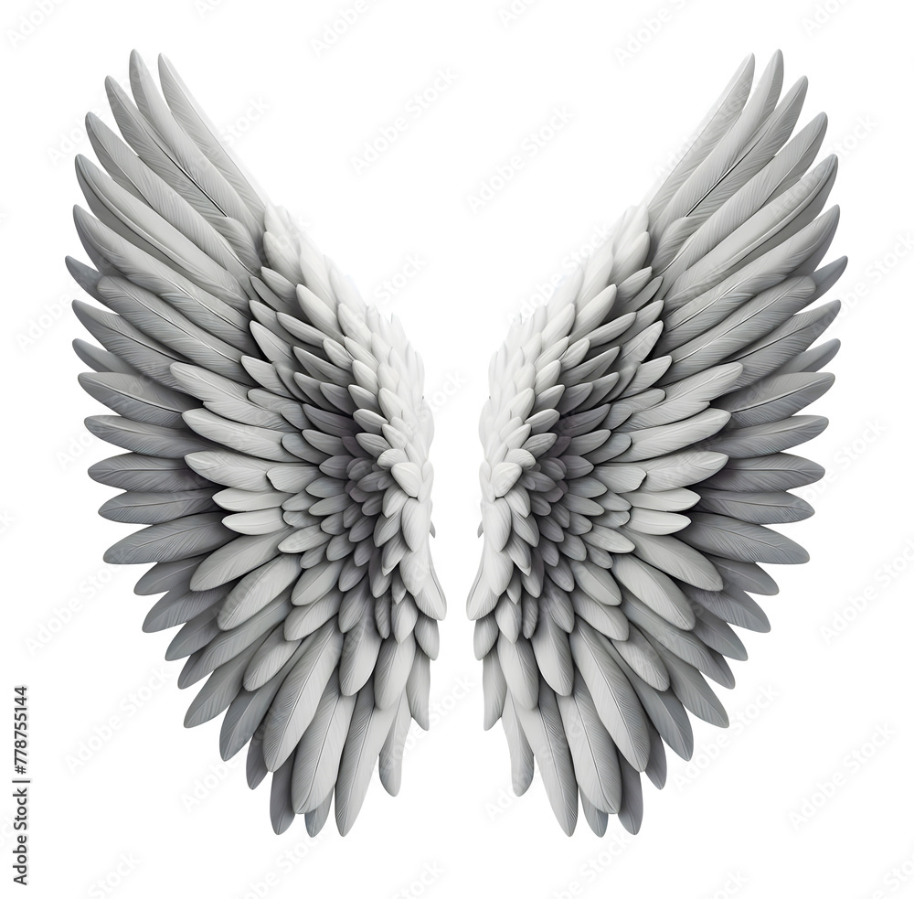 Fototapeta premium angel wing white colour front view isolated on transparent background