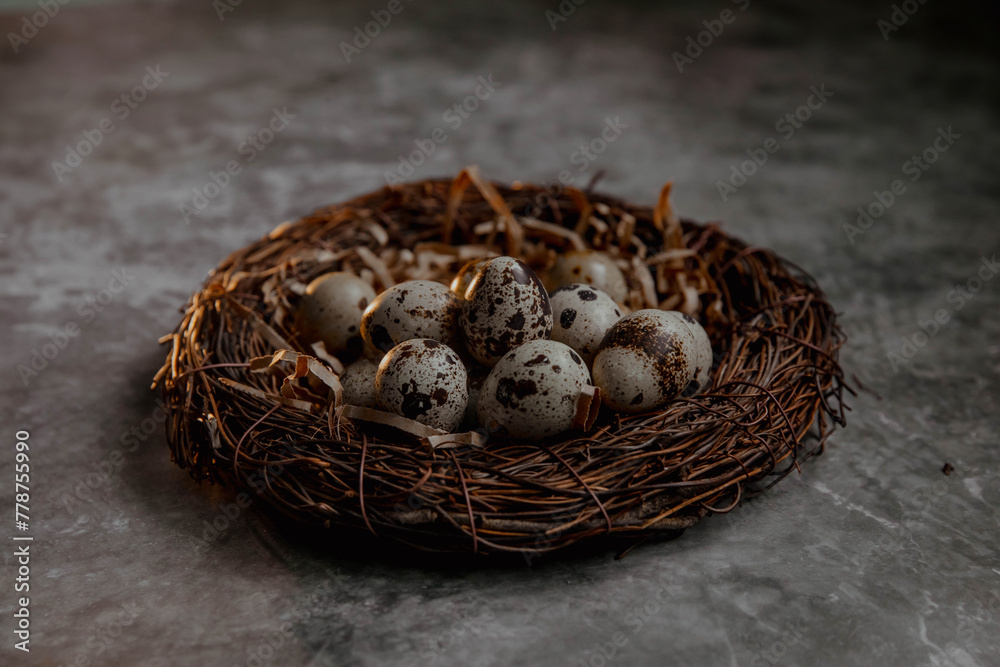 Obraz premium Nest with quail eggs on a gray background