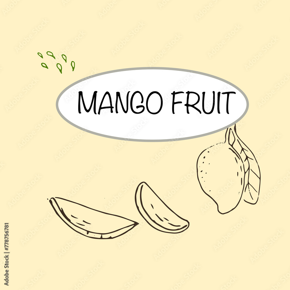 Labels with mango fruit sliced. Hand drawn fruit in sketch art illustration. Vector illustration of tropical fruit for healthy - mango. Ink paint art in vintage style.