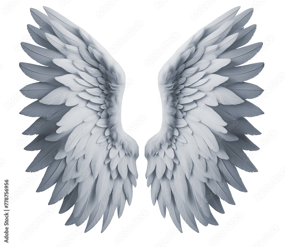 white colour wing front view isolated on transparent background white colour wing front view isolated on transparent background
