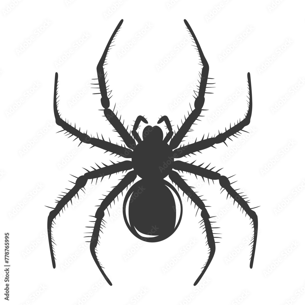 Silhouette spider animal black color only Silhouette spider animal black color only