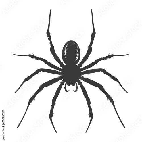 Silhouette spider animal black color only