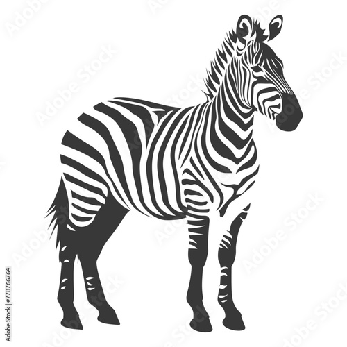 Silhouette zebra animal black color only