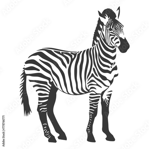 Silhouette zebra animal black color only