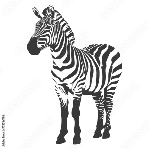 Silhouette zebra animal black color only