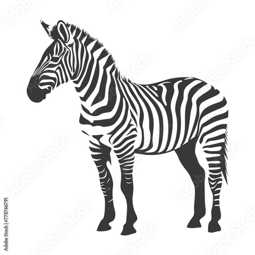 Silhouette zebra animal black color only