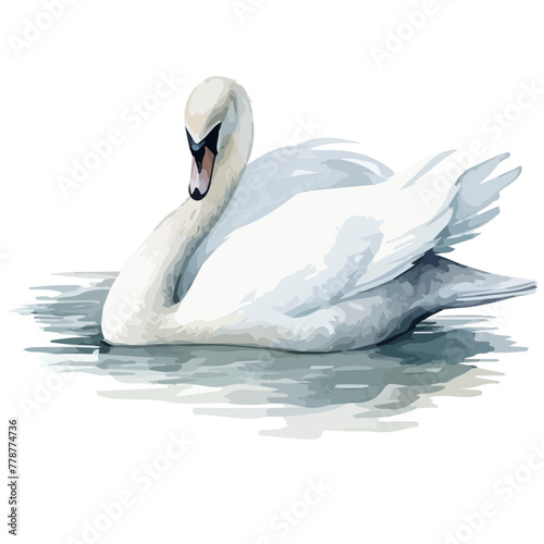Watercolor vector of a swan , isolated on a white background, design art, drawing clipart, Illustration, swan painting, Graphic logo, swan vector.