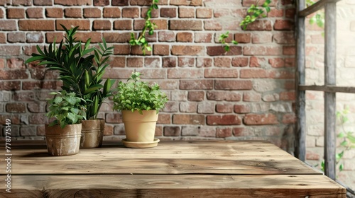 A table with three potted plants on it