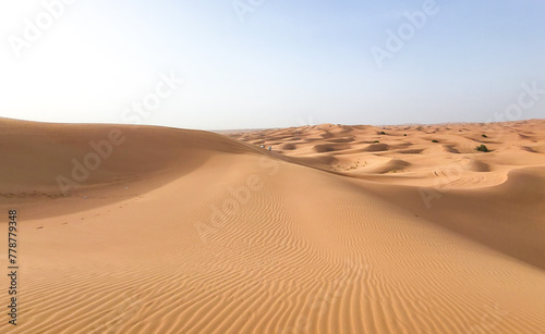 The extraordinary beauty of a sand dune in the desert  a desert landscape