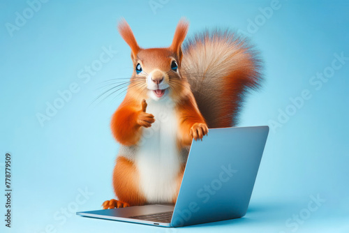 squirrel with laptop showing thumbs up on blue background photo
