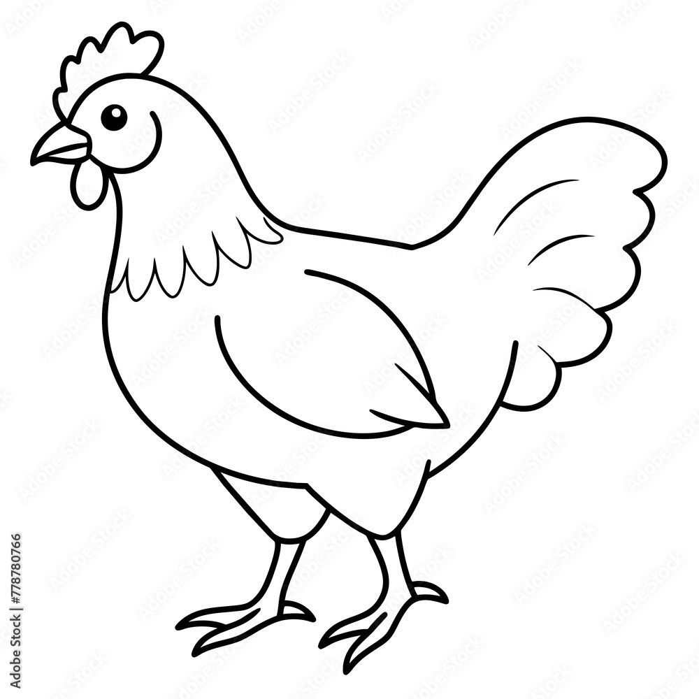    chicken vector illustration with line art.
