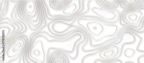 Abstract topographic contours 3d map background .topographic line texture background .monochrome image .stylized height of the topographic map contour in lines.
