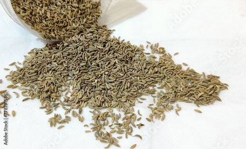 Fennel Seeds photo