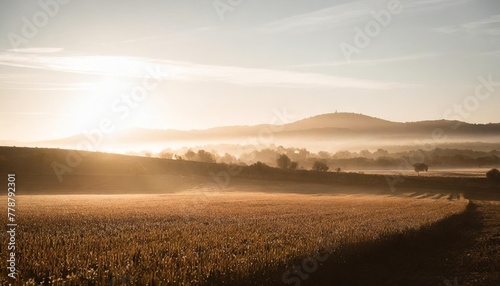 an early morning farmer s field dew on crops sunrise casting a golden glow tranquil and fertile landscape resplendent