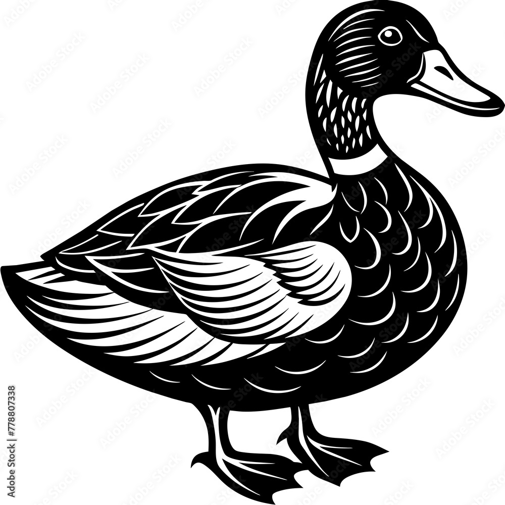 duck isolated on white, black duck silhouette vector illustration,icon,svg,pet,duck characters,Holiday t shirt,Hand drawn trendy Vector illustration,duck on black background duck isolated on white, black duck silhouette vector illustration,icon,svg,pet,duck characters,Holiday t shirt,Hand drawn trendy Vector illustration,duck on black background
