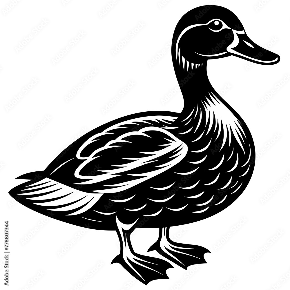 duck isolated on white, black duck silhouette vector illustration,icon,svg,pet,duck characters,Holiday t shirt,Hand drawn trendy Vector illustration,duck on black background duck isolated on white, black duck silhouette vector illustration,icon,svg,pet,duck characters,Holiday t shirt,Hand drawn trendy Vector illustration,duck on black background