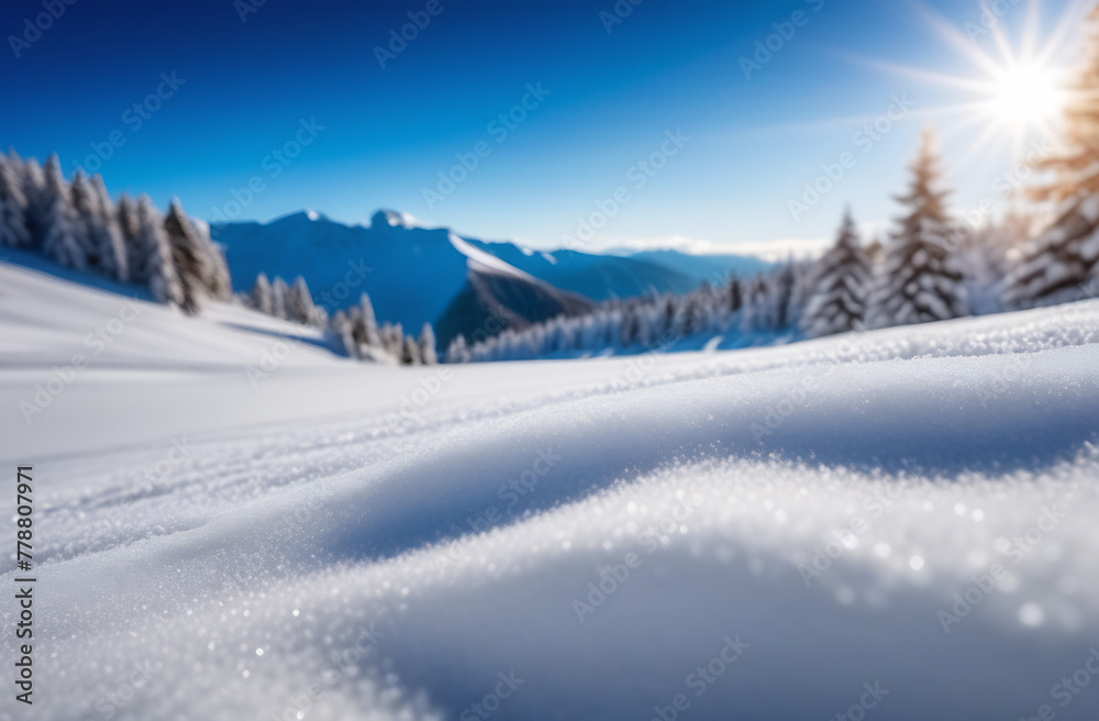 winter landscape with snow