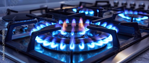 Take a closer peek at the gas cooker, its mesmerizing blue flame dancing gracefully as it brings culinary creations to life in the kitchen. photo