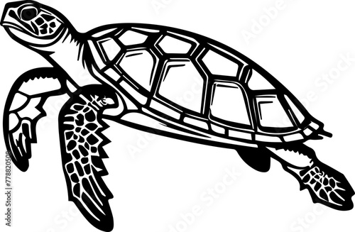 Series of illustrated Sea Turtles in black white for illustration, design, printing