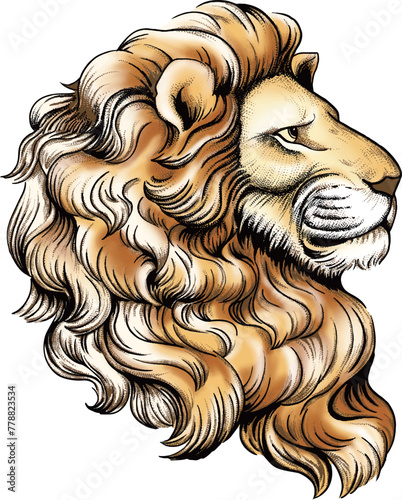 Lion head illustration, Side face