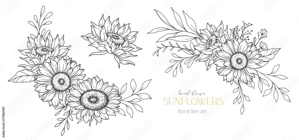 Sunflowers Line Art, Fine Line Sunflowers Hand Drawn Illustration. Fine Line Sunflowers illustration. Floral Line Art. Black and White Sunflowers Graphics Sunflowers Line Art, Fine Line Sunflowers Hand Drawn Illustration. Fine Line Sunflowers illustration. Floral Line Art. Black and White Sunflowers Graphics