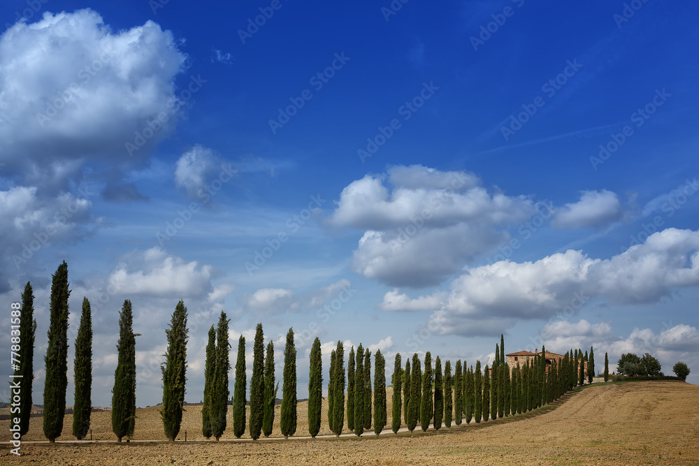 Obraz premium Beautiful Landscapes of Tuscany/ Italy