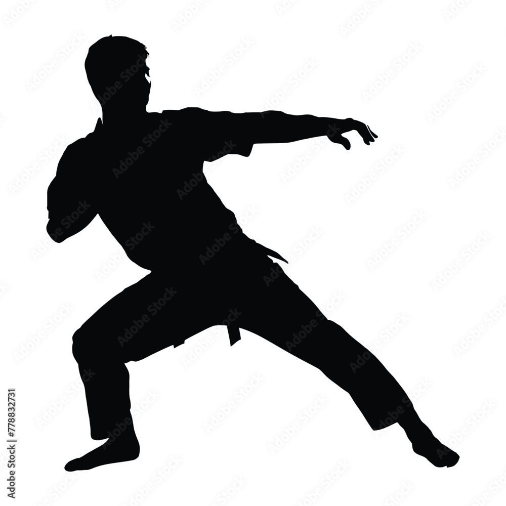 Obraz premium Martial arts Silhouette