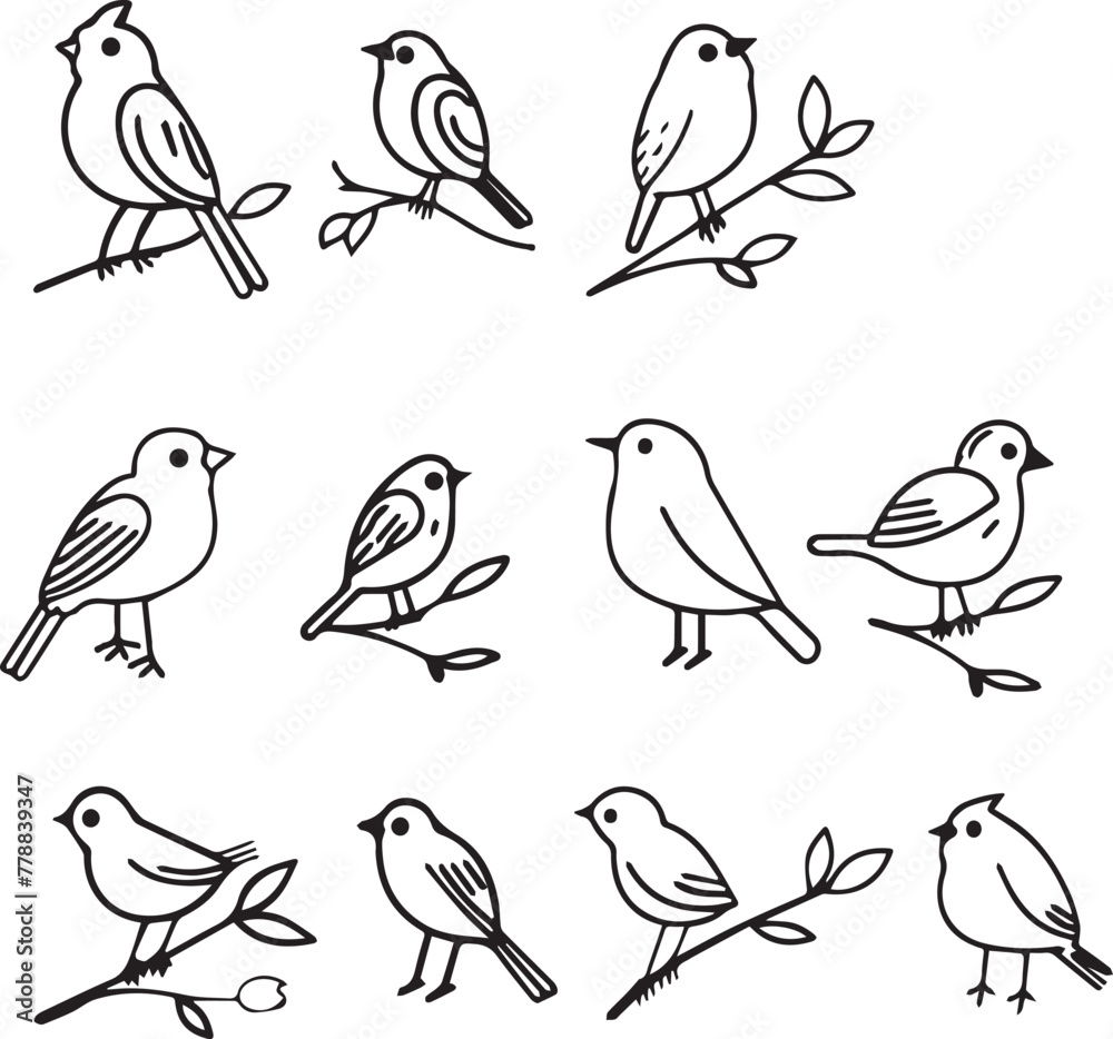 Birds thin line icons on white background