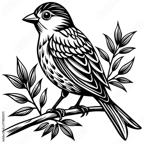 Bird on a branch vector illustration. © Abul Kalam