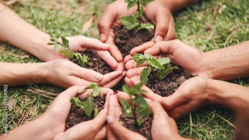 Hands, plant and soil with ecology for growth, grass or leaves with people in environment for sustainability. Climate change, carbon capture and Earth day with nature, agriculture and development