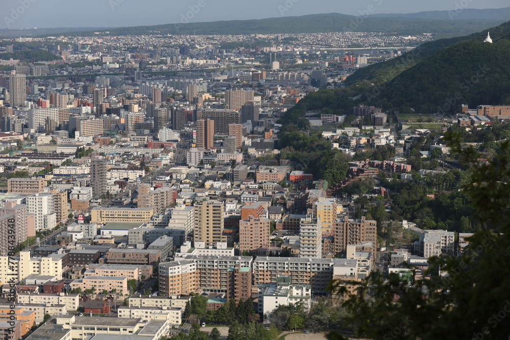 円山山頂から見た札幌の街並み