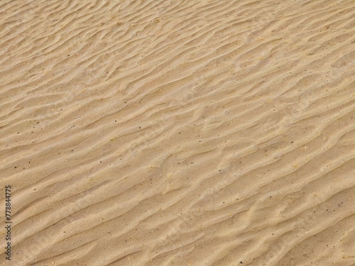 a close up of a sand dune with a few small ripples © boler