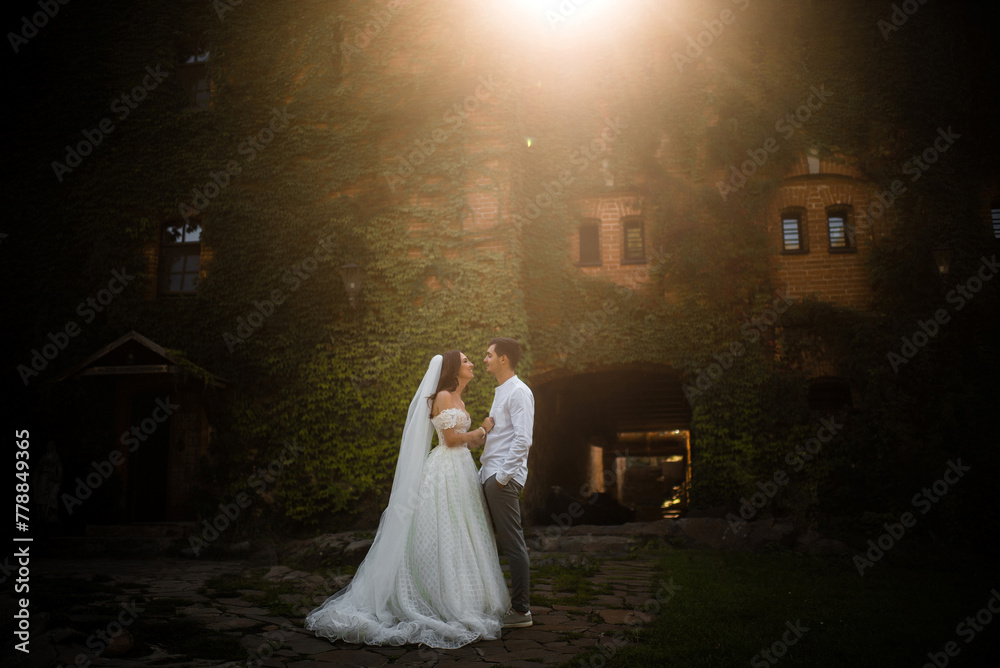Newlyweds against the backdrop of an old castle in the sun Newlyweds against the backdrop of an old castle in the sun