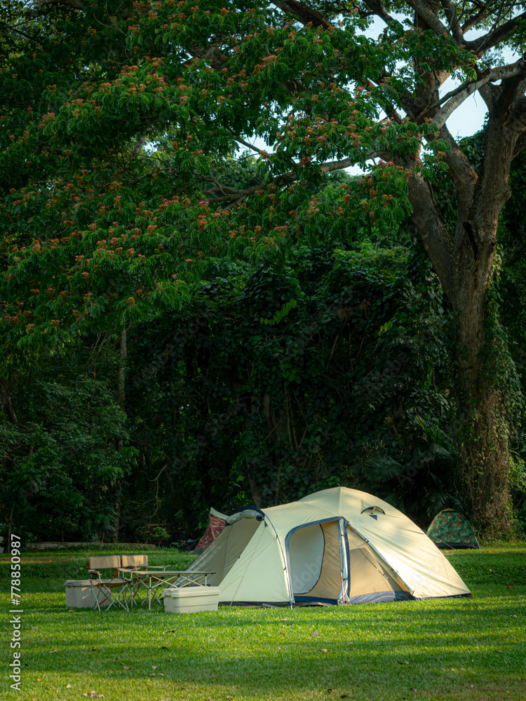 Dome-shaped tent pitched in grassy field. Large tree in background, Shady atmosphere Holiday activities