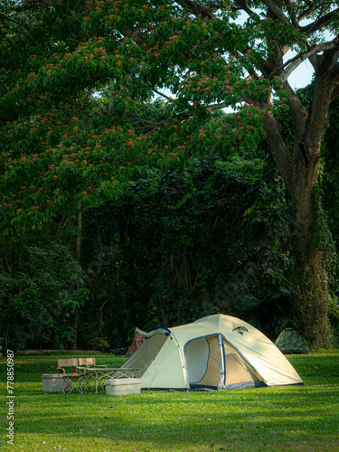 Dome-shaped tent pitched in grassy field. Large tree in background, Shady atmosphere Holiday activities