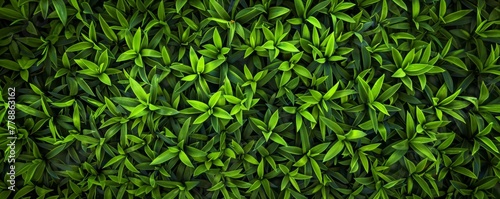 Lush greenery: vibrant plant leaves background