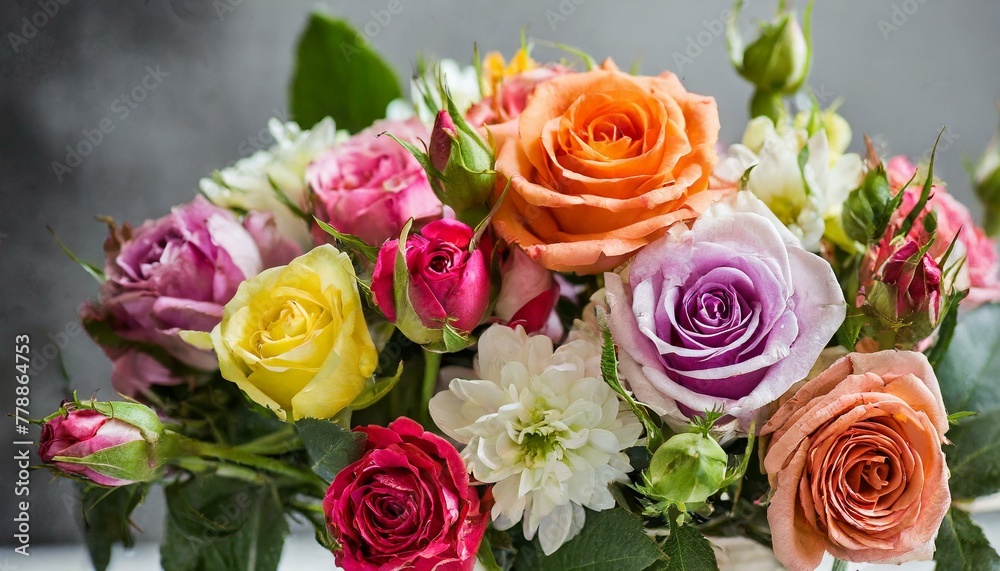 Roses diffrent colors Roses diffrent colors