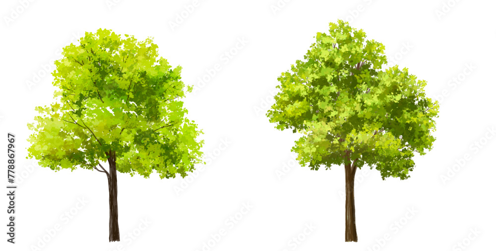 Fototapeta premium Vertor set of green tree,plants side view for landscape elevations,element for backdrop,eco environment concept design,watercolor greenery scene