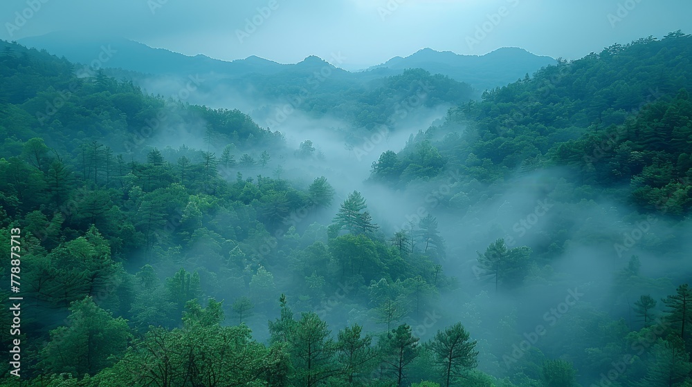 A dense forest brimming with countless emerald trees shrouded in a thick veil of mist, amidst hazy, smoky skies afar A dense forest brimming with countless emerald trees shrouded in a thick veil of mist, amidst hazy, smoky skies afar