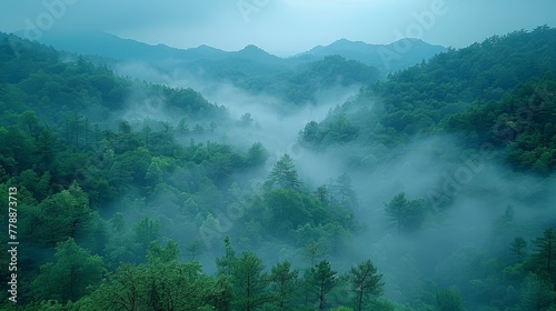  A dense forest brimming with countless emerald trees shrouded in a thick veil of mist, amidst hazy, smoky skies afar