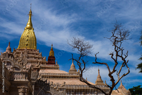 The magical town, Bagan with million of stupa and pagoda spreading across the green field  photo