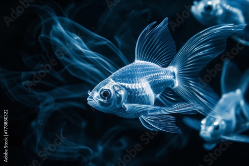 X-Ray Image of a Goldfish in Dark Water. 