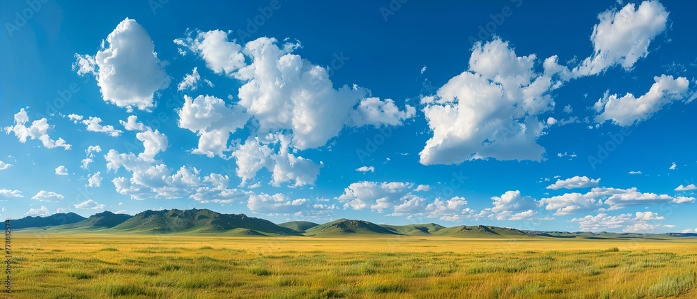 Obraz premium landscape with clouds