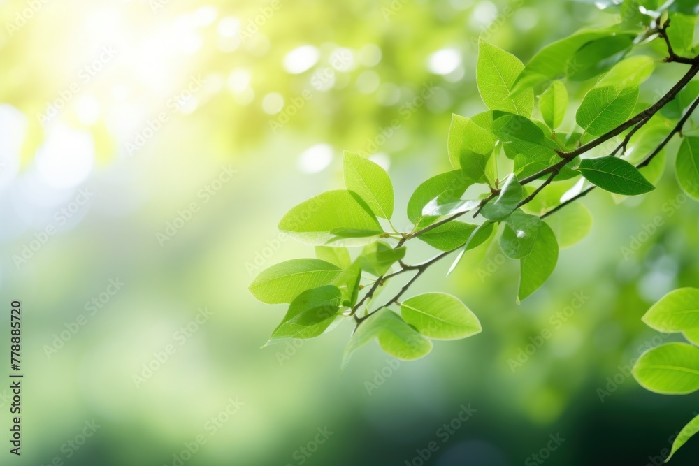 Vibrant spring leaves set against a dreamy park scene create an enchanting bokeh, epitomizing the beauty of nature in springtime Vibrant spring leaves set against a dreamy park scene create an enchanting bokeh, epitomizing the beauty of nature in springtime